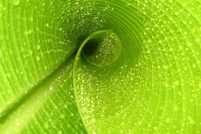 九游手游官网-青少年体育赛事规则完善，青少年体育比赛年龄限制