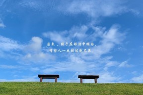 9游游戏官网-自由泳三姐妹斩获冠亚季军，4×200自由泳夺冠