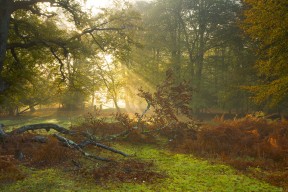 九游娱乐app下载-杨瀚森保持健康状态展现出色出勤率，杨瀚森身高
