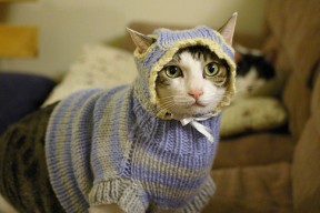 九游app官网下载-中国男篮积极调整阵容 应对激烈联赛挑战，中国男篮阵容有哪些