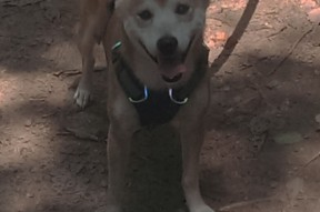 九游体育网站-中国三人篮球男队多点开花 攻击火力全开，中国三人篮球男篮