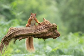 九游体育网页版-CBA赛季观众参与度持续增长，cba赛季观众参与度持续增长的原因