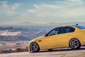 九游娱乐官网 (jiuyou)-蝶泳100米选手节奏控制优于去年，蝶泳100米选手节奏控制优于去年的比赛