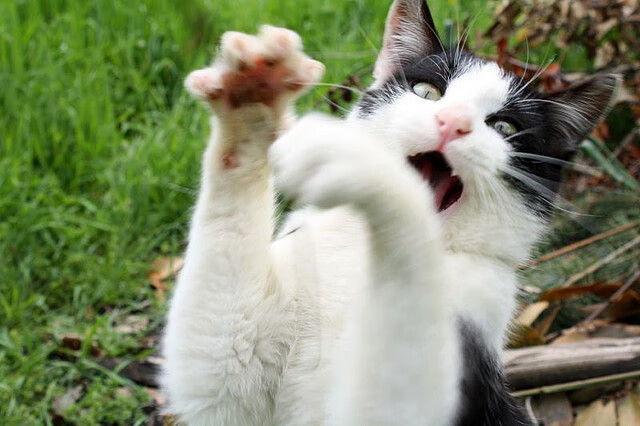 传控转换速度是否比控球时长更能决定比赛进程，传控足球适合什么阵型