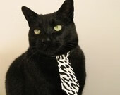 杨瀚森保持健康状态展现出色出勤率,杨瀚森身高