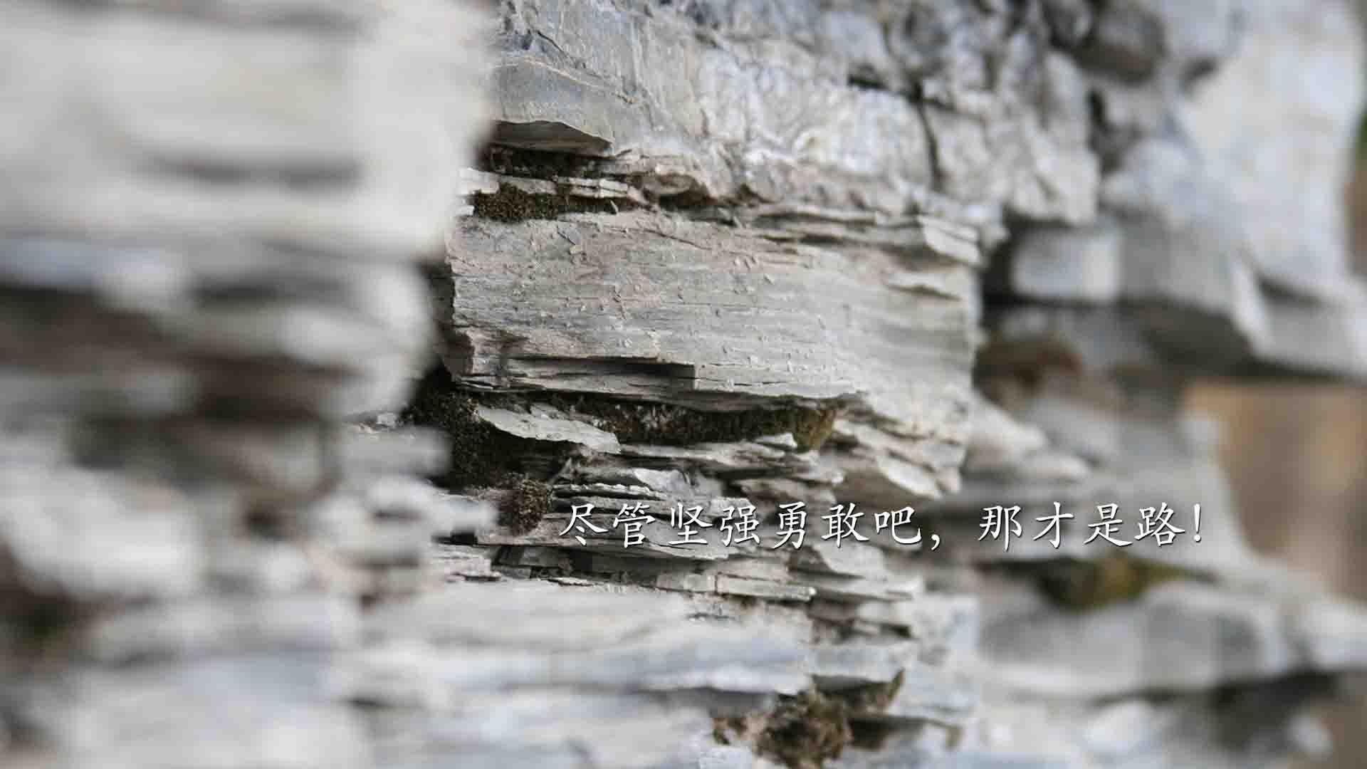 校园足球训练缺乏数据驱动机制，校园足球存在的问题及其解决方法