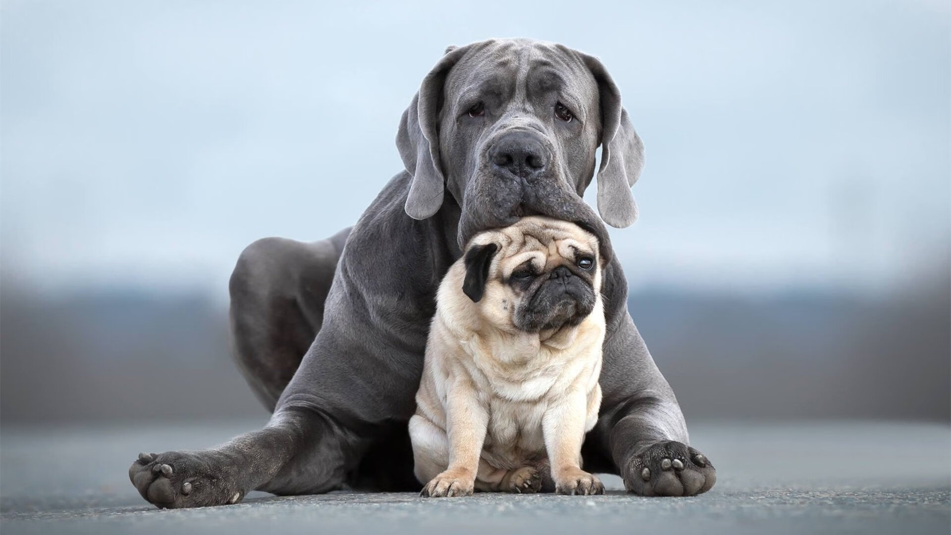 波兰队的表现回顾：在国际乒联混合团体世界杯中如何超越自我，波兰乒乓球著名运动员