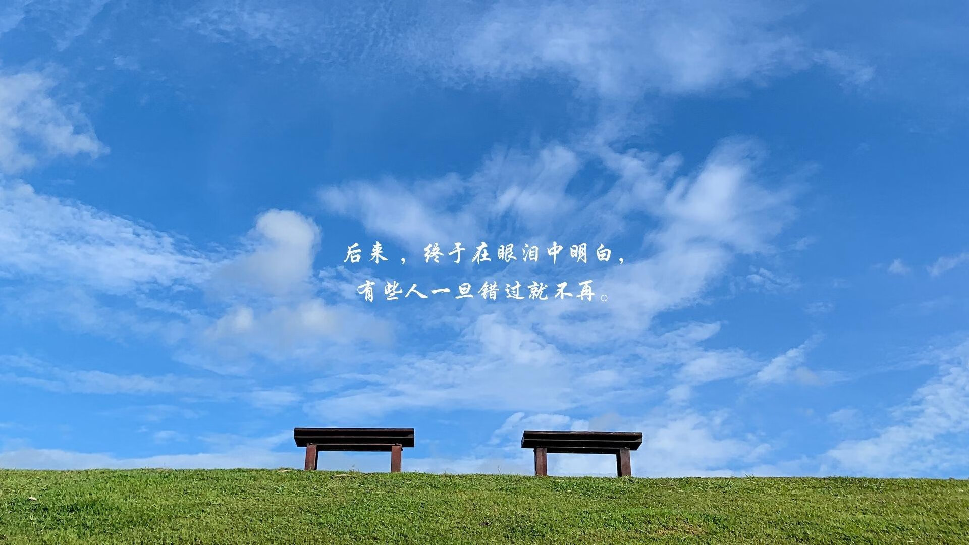 自由泳三姐妹斩获冠亚季军，4×200自由泳夺冠