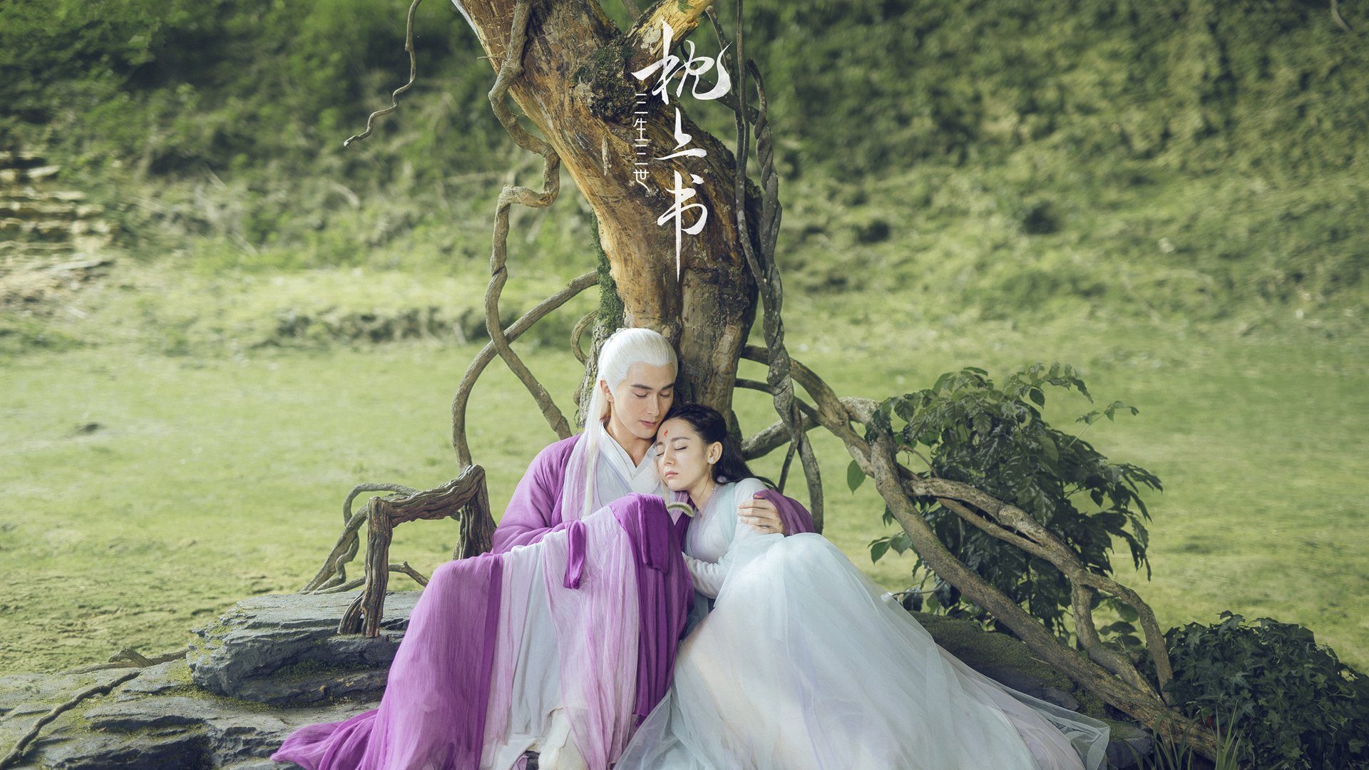 自由泳三姐妹斩获冠亚季军，4×200自由泳夺冠