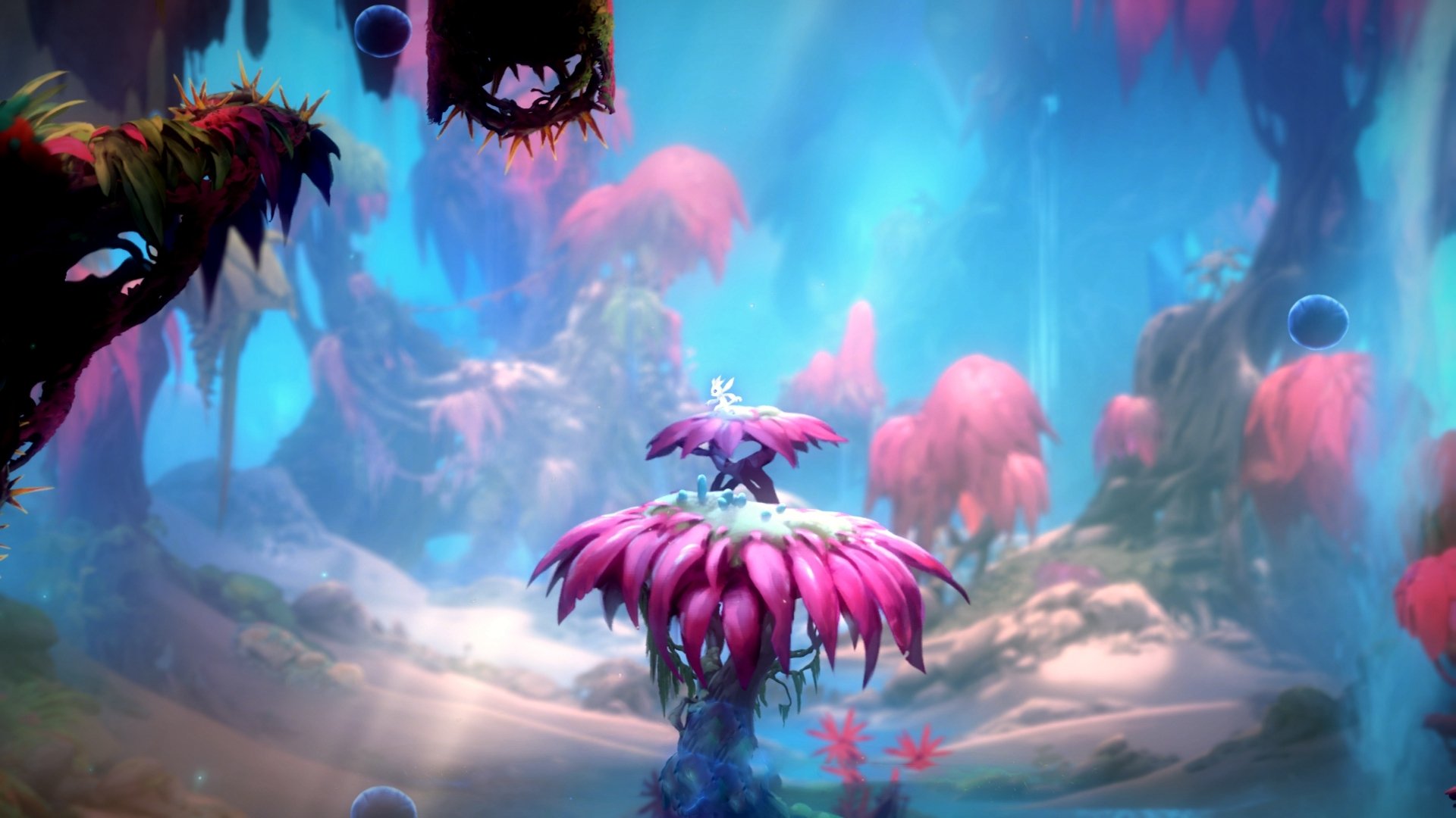 中国足球国家队外训效果显著获得好评，中国国家足球队外援